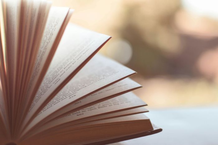 librosquecambiaranlarelacion